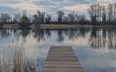 Jetzt neu: Coaching am See